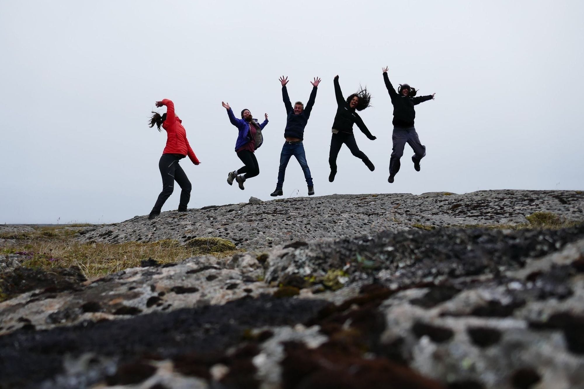 Iceland Conservation Volunteers