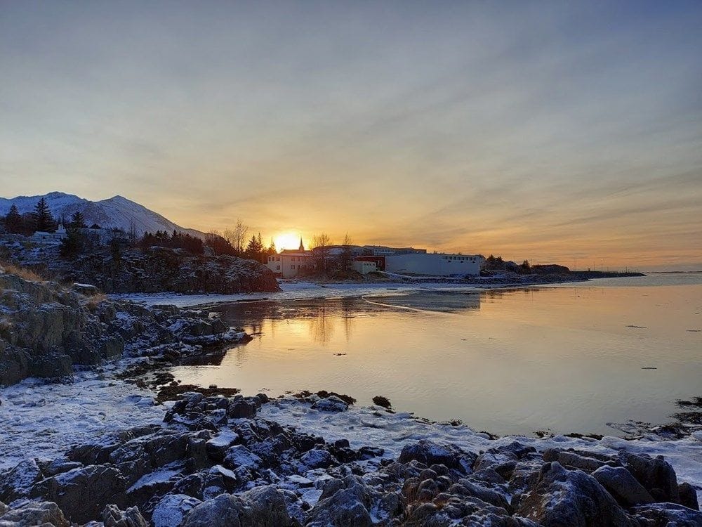 Borgarvogur að vetri