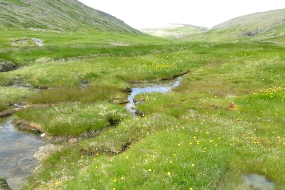 Goðdalur í Bjarnarfirði